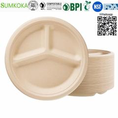 9 Inches Plate Disposable Plate Round Plate Baga
