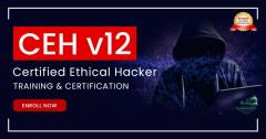 Ethical Hacker Online Training