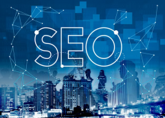 Small Business Seo Consultant