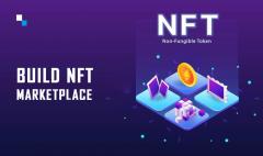 Establish Your Own Thriving Nft Marketplace With