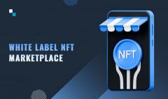 Antier- White Label Nft Marketplace Solutions Fo