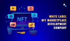 Antier- White Label Nft Marketplace Development 