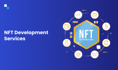 Presenting Top-Notch Nft Development Services