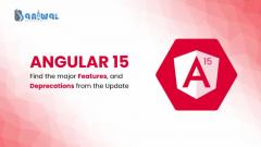 A Complete Guide To Upgradation In Angular 15  B