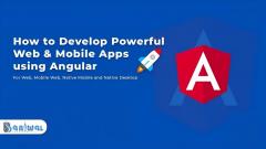 1 Angularjs Native App Development Services - Ba