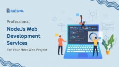 Professional Nodejs Web Development Services - B