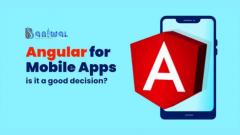 Angularjs Mobile App Development Services Baniwa