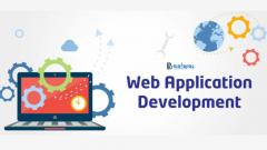 Professional Website Application Development Ser