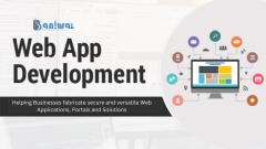 Custom Website Application Development Services 