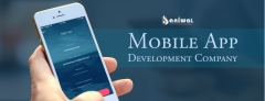 Mobile App Development Provider Company  Baniwal