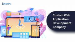 Custom Website Application Development Services 