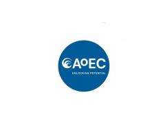 Academy Of Executive Coaching Ltd Aoec