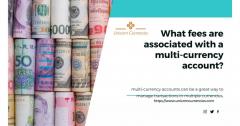 What Fees Are Associated With A Multi-Currency A