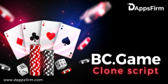 Start Your Own Online Gaming Platform With A Bc.