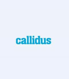 Callidus Surveys