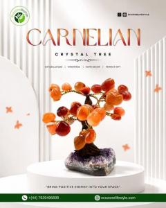 Discover The Positive Energy Of A Carnelian Crys