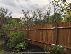 Get A Garden Fencing Design Best Suits Your Gard