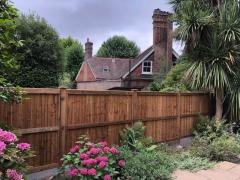 Are You Looking For Professional Garden Fencing 