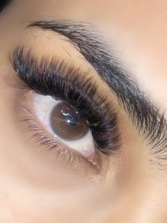 Lush Lashes Enhance Your Look With Volume Eyelas