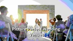 Picture-Perfect Venue For Wedding Near You