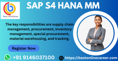 Sap Mm Sourcing & Procurement Training With S4Ha