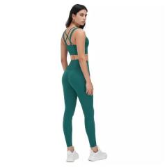 Wish To Buy The Best Seamless Leggings  Connect 