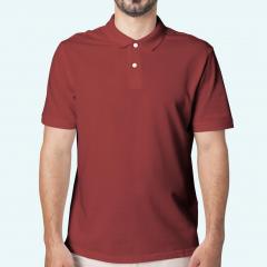 Grab The Classic Collection Of Polo T Shirts Fro