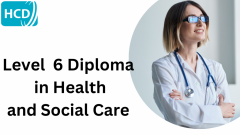 Level 6 Diploma In Health And Social Care