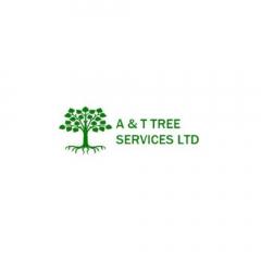 Looking For Professional Tree Care Services In T