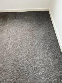 Premium Carpet Cleaning Services In London U