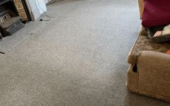 Special Offer 50 Off On Professional Carpet Clea