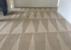 Half-Price Carpet Cleaning In London, A Deal You