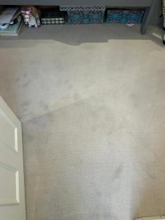 Your Trusted Carpet Cleaning Pros In East London