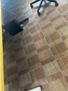 Transformative Carpet Cleaning For North East Lo