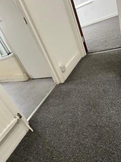 Competent Carpet Cleaning In East London
