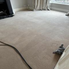 Elite Carpet Cleaning In North West London