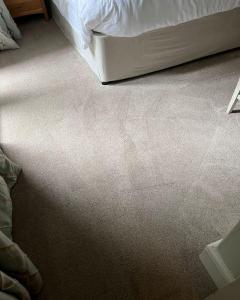 Proficient Carpet Cleaning In South West London
