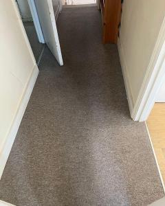 Premier Carpet Cleaning Experts Of Chelsea
