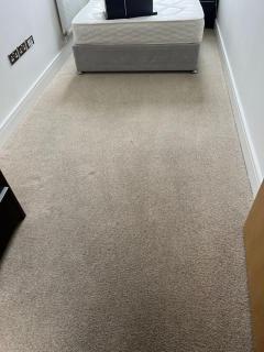 Kensingtons Trusted Carpet Cleaning