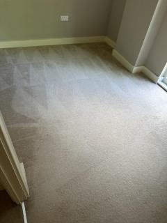 West Londons Finest Carpet Cleaning Experts
