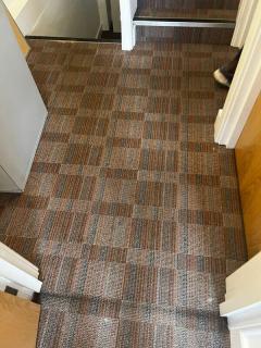 North Londons Leading Carpet Cleaning Profession