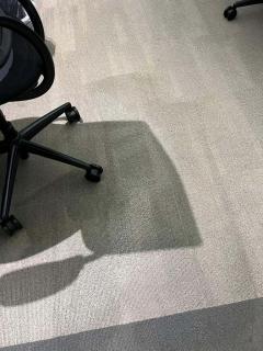 Quick And Efficient Carpet Cleaning In North Eas