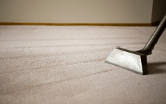 Enhance Your Home Comfort Expert Carpet Cleaning