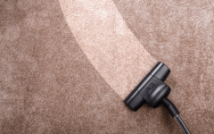 Special Offer 50 Discount On Carpet Cleaning In 