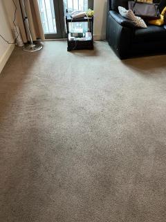 South East Londons Carpet Cleaning Specialists