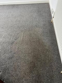 Your Trusted Partner For Clean Carpets In Pinner