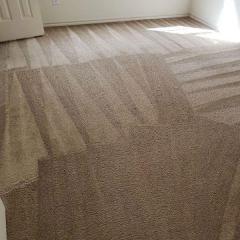 Premium And Affordable Carpet Cleaning In Harrow