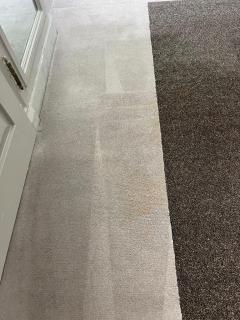Reviving Carpets In North East London