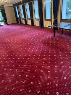South Londons Trusted Carpet Cleaning Pros
