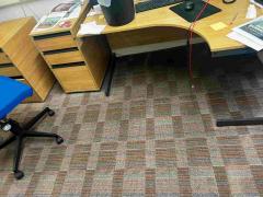 Premier Carpet Cleaning Specialists In Harrow Lo